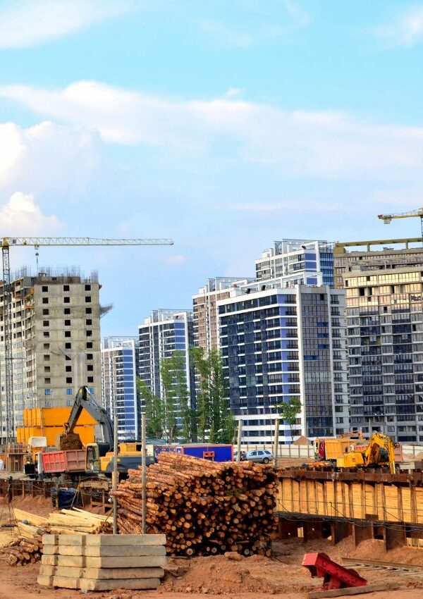 Untitled design 2 600x850